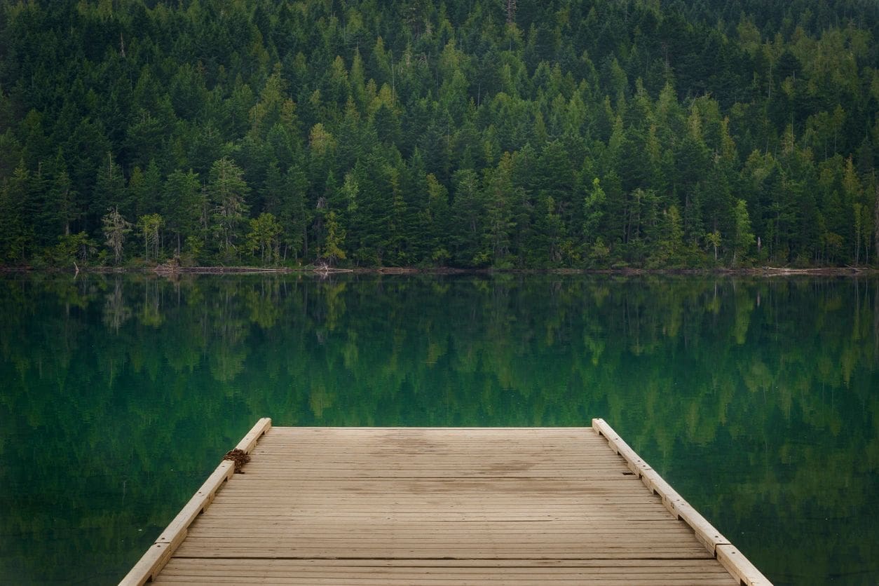 Dock at Clearwater Lake, Wells Gray Provincial Park, North Thompson Region, Clearwater, British Columbia Canada (Dock at Clearwater Lake, Wells Gray Provincial Park, North Thompson Region, Clearwater, British Columbia Canada, ASCII, 112 components, 11